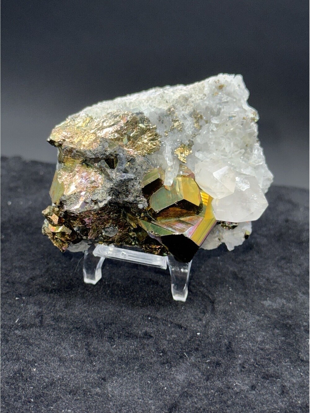 Naturally Iridescent Pyrite with Quartz Indonesia Natural Mineral Specimen